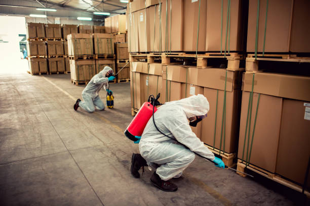 Best Pest Removal Services  in Neptune City, NJ