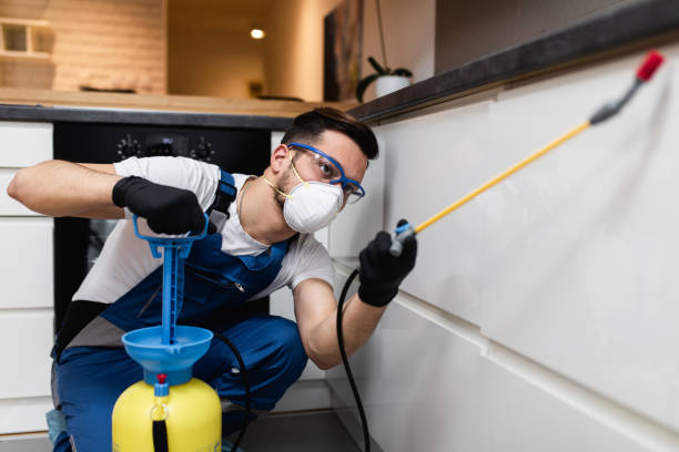 Best Emergency Pest Control  in Neptune City, NJ