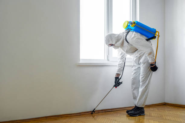 Best Rat Extermination Near Me  in Neptune City, NJ