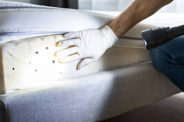 Best Emergency Pest Control  in Neptune City, NJ
