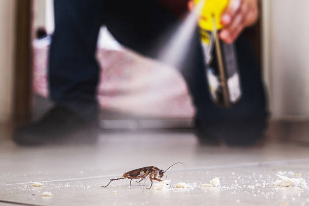 Best Flea Control Services  in Neptune City, NJ